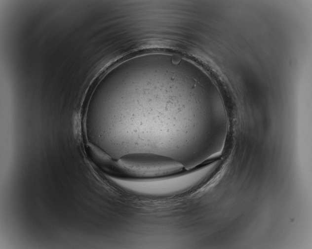 X0000093421121200710121138