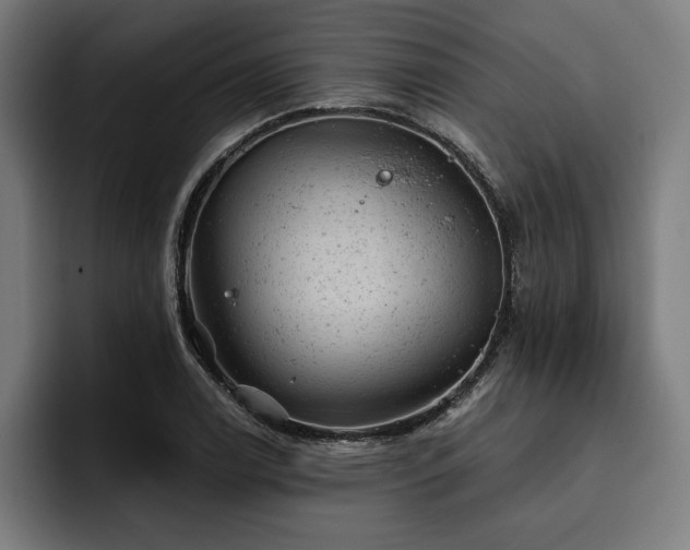 X0000093421122200710121138