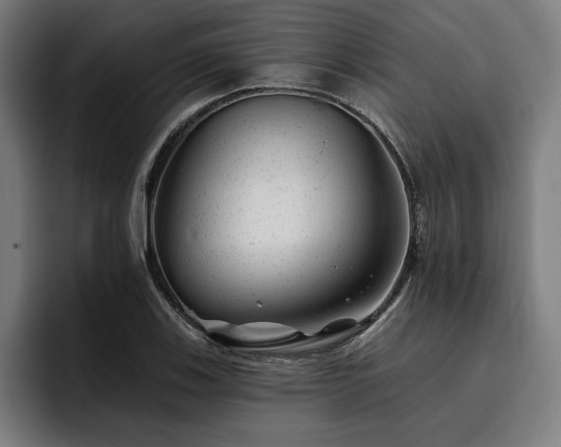 X0000093421123200710121138
