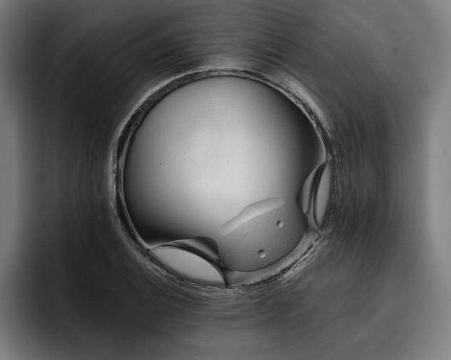 X0000093421124200710121138