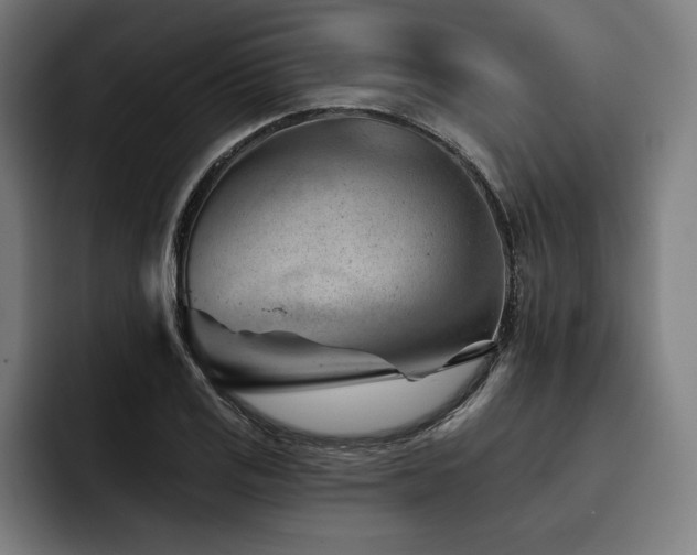 X0000093421125200710121138