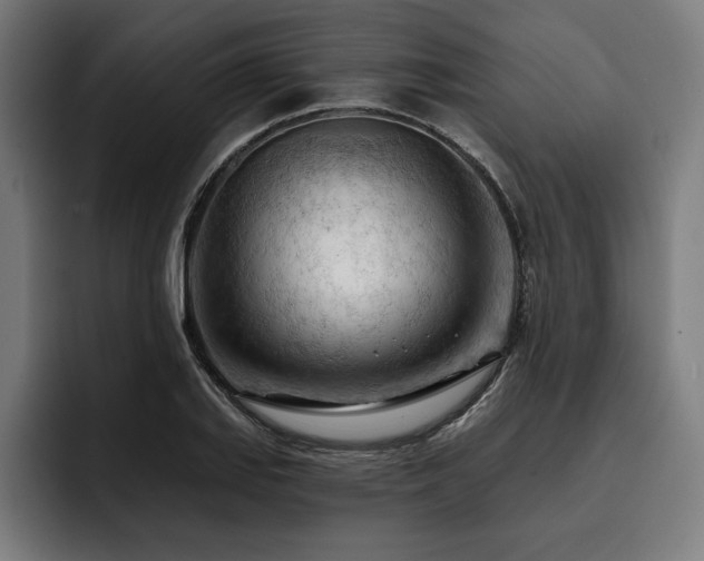 X0000093421127200710121138