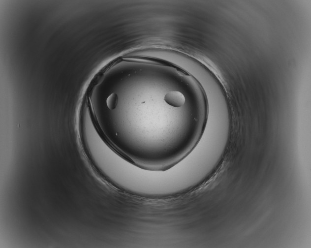 X0000093421128200710121139