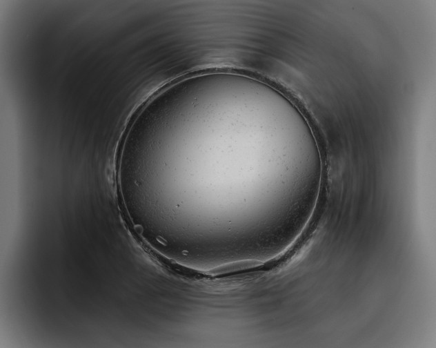 X0000093421129200710121139