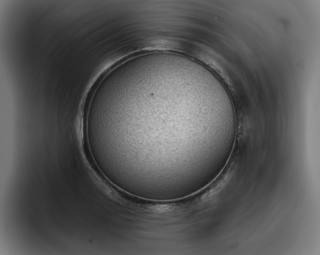 X0000093421130200710121139