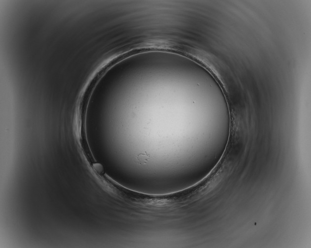 X0000093421131200710121139
