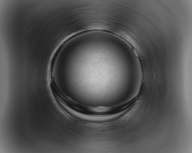 X0000093421132200710121139