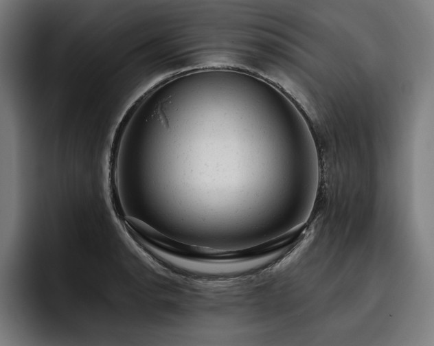 X0000093421134200710121139