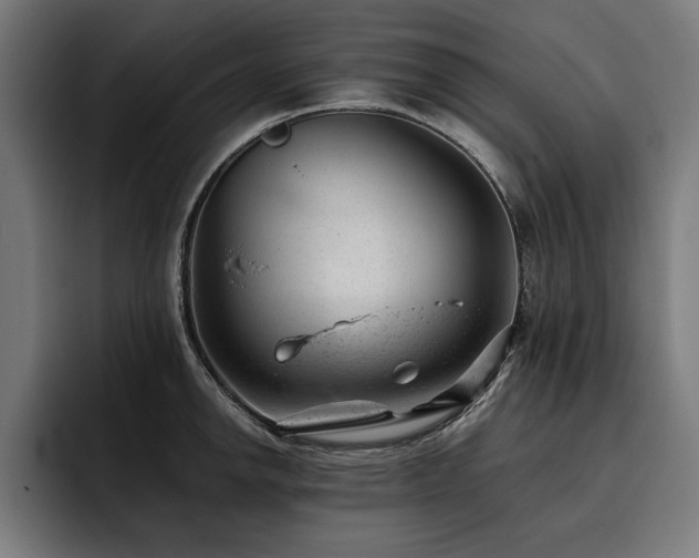 X0000093421142200710121139