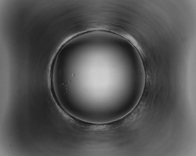 X0000093421143200710121139