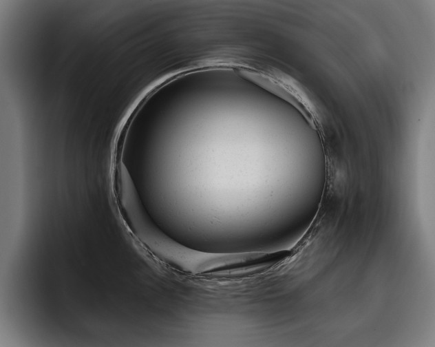 X0000093421148200710121139