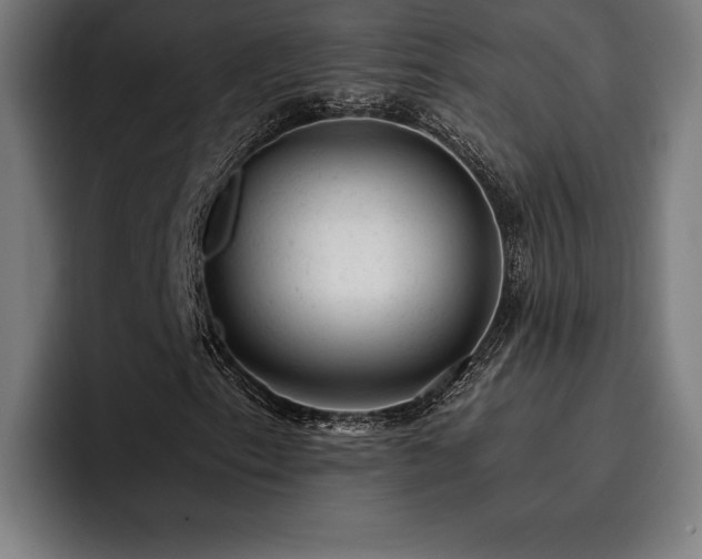 X0000093421153200710121138
