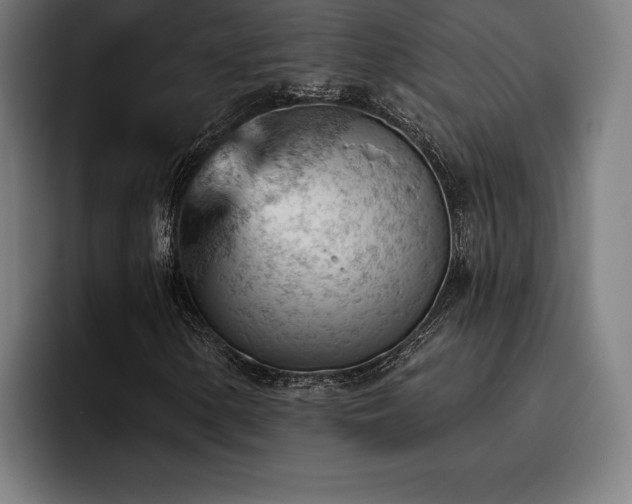 X0000093421154200710121138