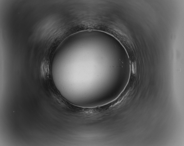 X0000093421155200710121138