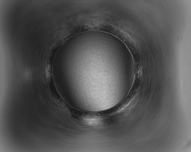 X0000093421156200710121138