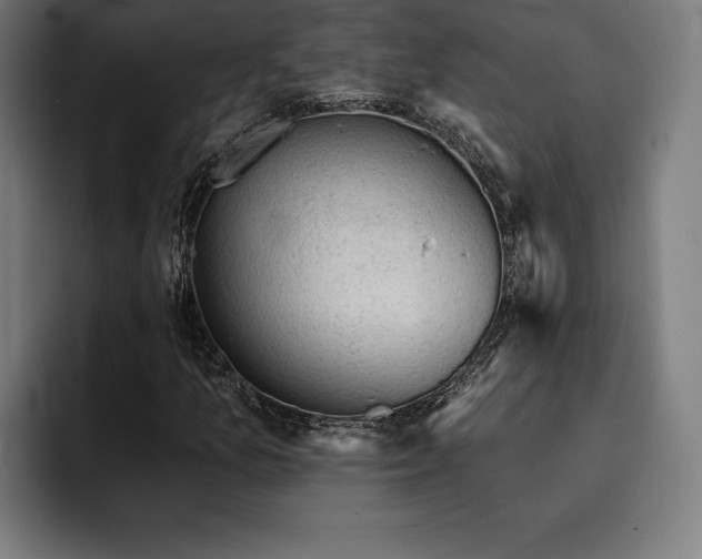 X0000093421157200710121138