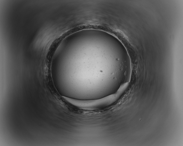 X0000093421159200710121138