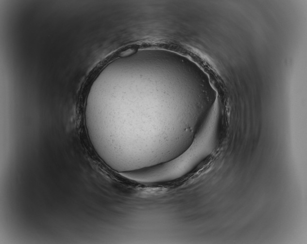 X0000093421160200710121138