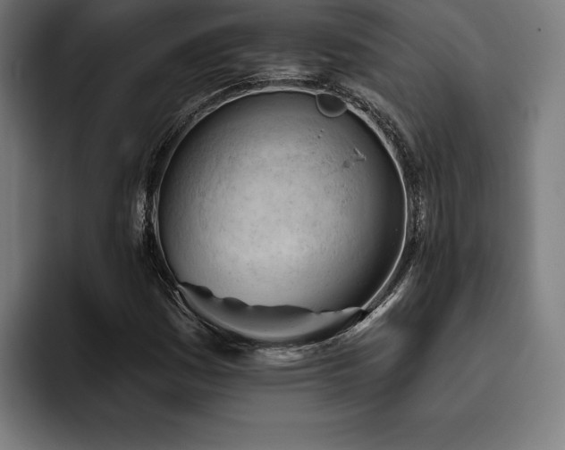 X0000093421161200710121138