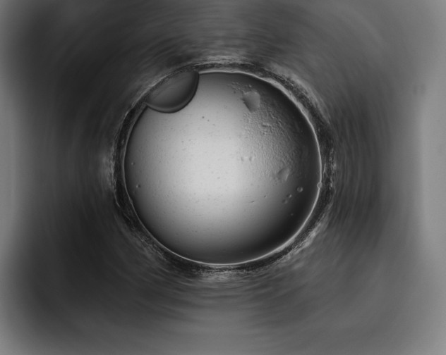 X0000093421162200710121138