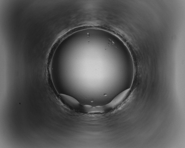X0000093421168200710121138