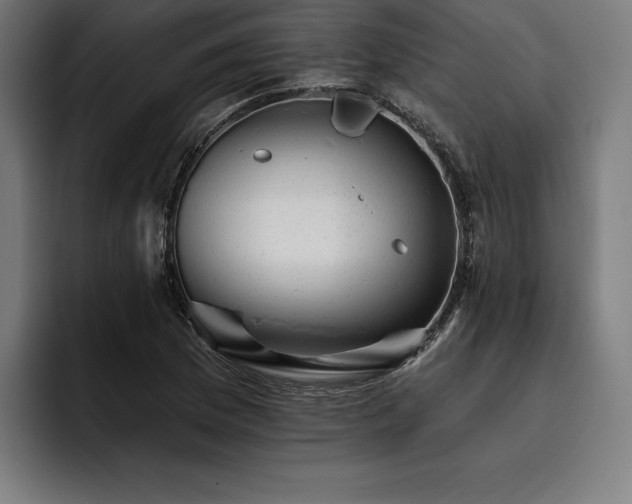 X0000093421169200710121138