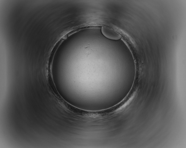 X0000093421170200710121138