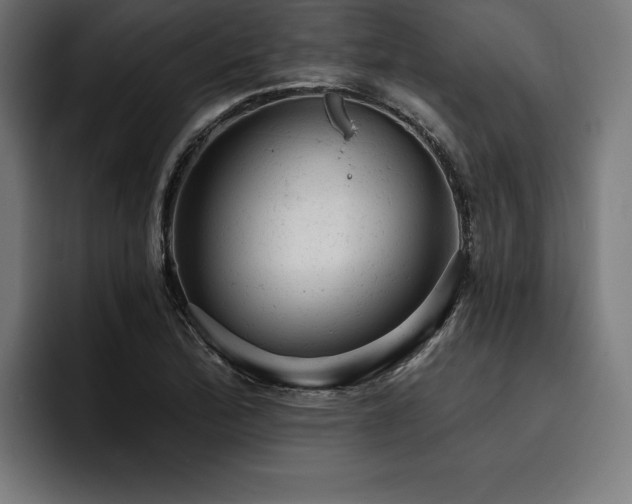 X0000093421172200710121138