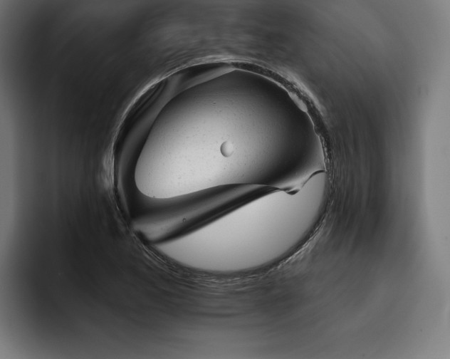 X0000093421173200710121138