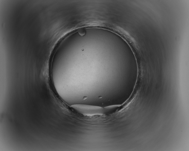 X0000093421174200710121138