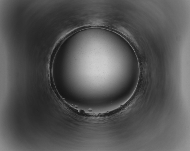 X0000093421176200710121138