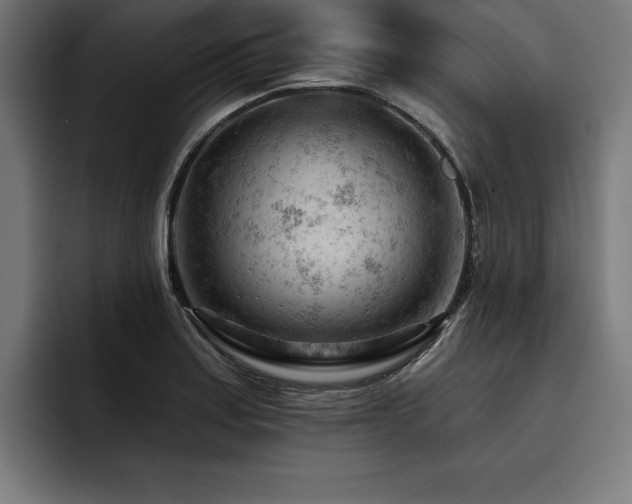 X0000093421179200710121138