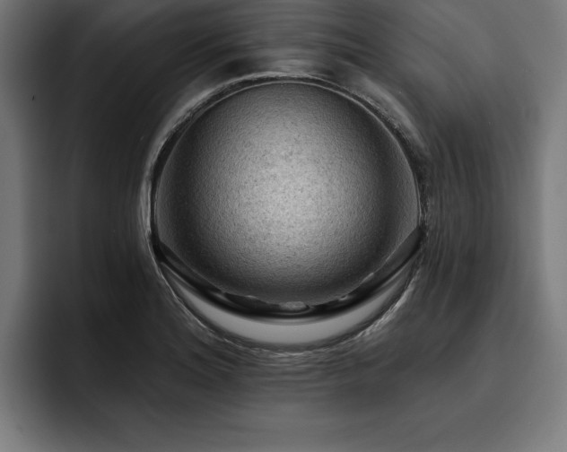 X0000093421180200710121138