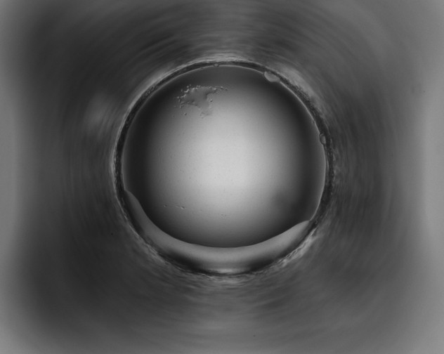 X0000093421181200710121138