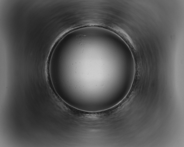 X0000093421182200710121138