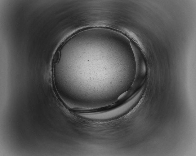 X0000093421184200710121138