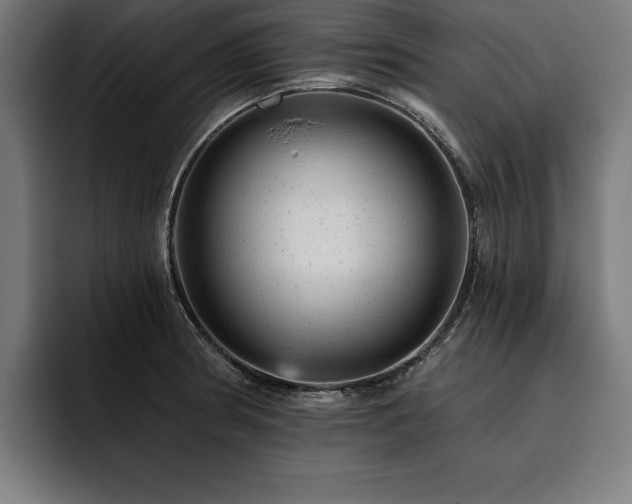 X0000093421186200710121138