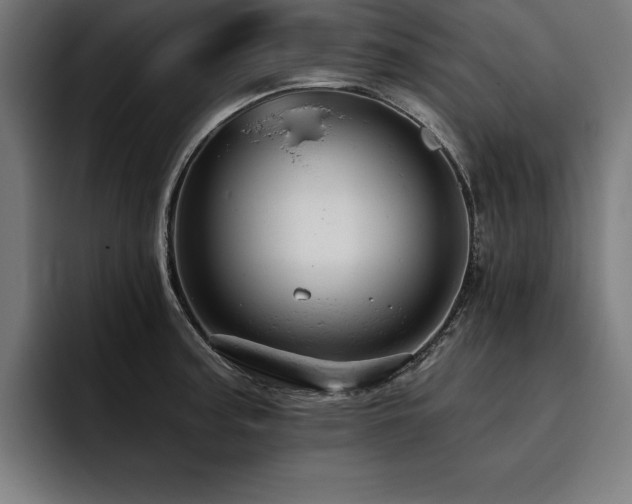 X0000093421187200710121138