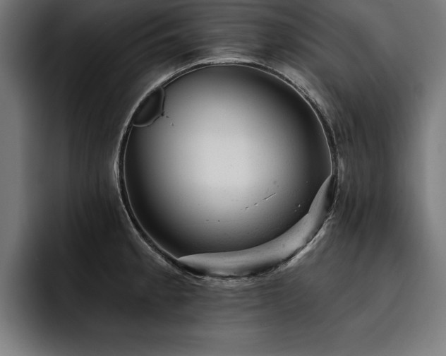 X0000093421189200710121138