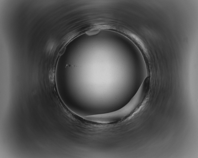 X0000093421193200710121138