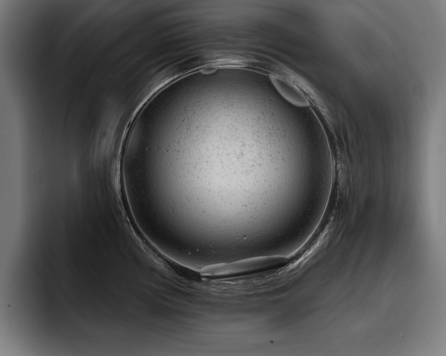 X0000093421194200710121138