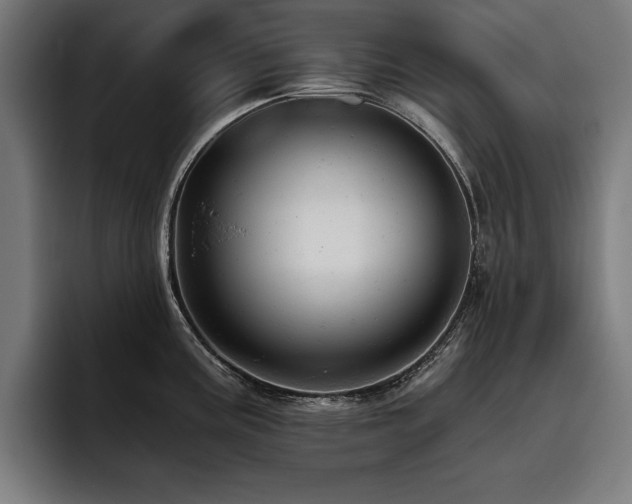 X0000093421195200710121138