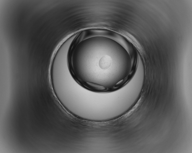 X0000093421196200710121138