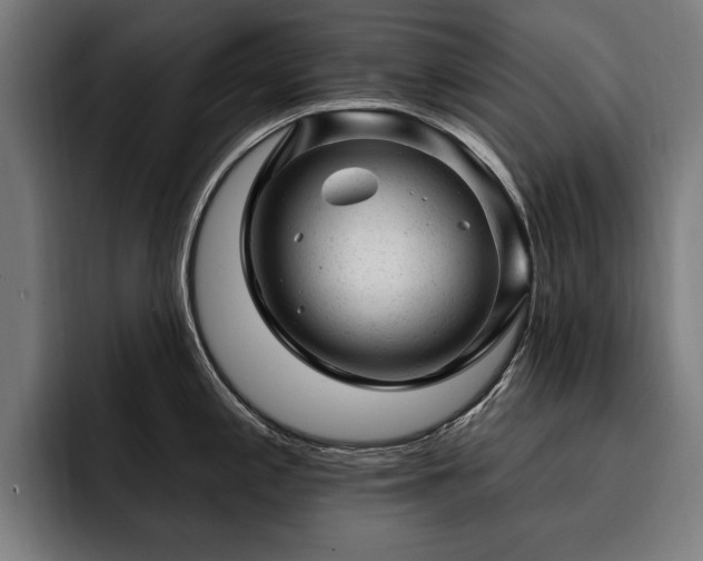 X0000093421197200710121138
