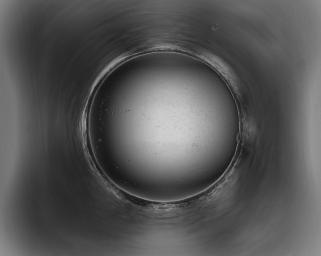 X0000093421198200710121138