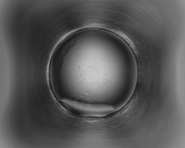 X0000093421199200710121138
