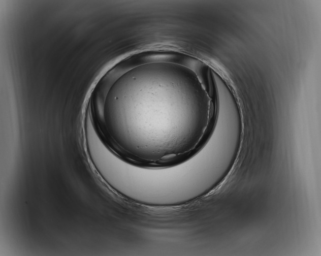 X0000093421200200710121138