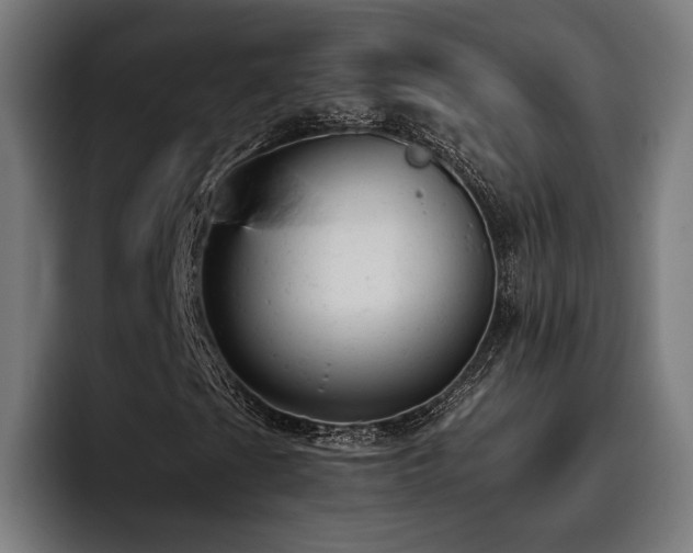X0000093421201200710121137