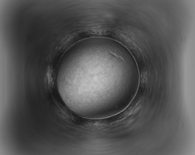 X0000093421202200710121137