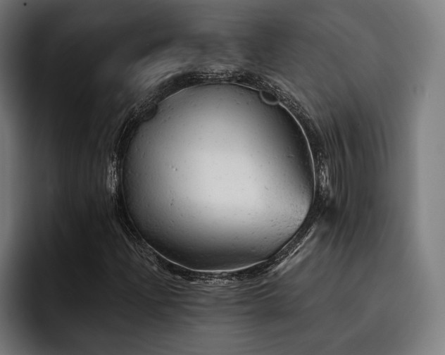 X0000093421204200710121137